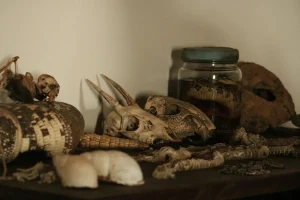 Catégorie Curiosités naturelles