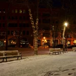Les bienfaits des arbres pour la biodiversité urbaine