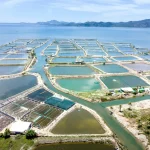 Comment les écosystèmes marins affectent les cultures terrestres