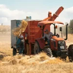 Comment l’IA réinvente le secteur de la restauration : de l’agriculture à l’assiette