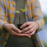 Les batteries bio-sourcées : vers une énergie plus verte