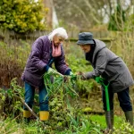Les jardins communautaires : un remède social et environnemental