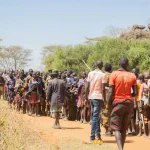 Les récits oubliés des peuples indigènes et leur lien avec la nature : savoirs ancestraux à préserver