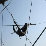 Les records de l’acrobatie : performances aériennes à couper le souffle
