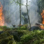 Les tornades de feu : quand le feu crée sa propre tempête