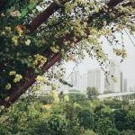 L’urbanisation verte : repenser les paysages pour la biodiversité
