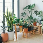 Minimalisme : comment vivre mieux avec moins transforme notre manière de consommer