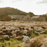 La vie quotidienne des agriculteurs dans l’Antiquité : entre labeur et traditions